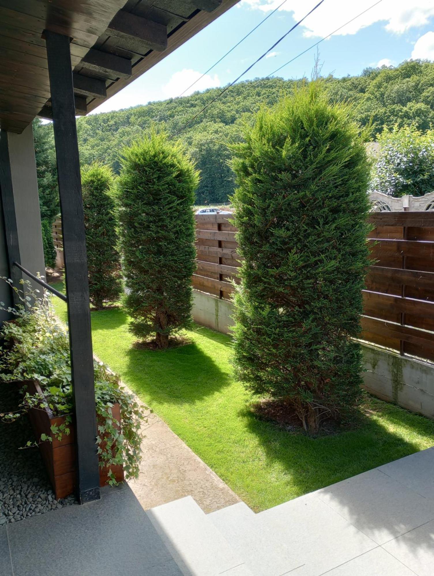 Vila Gosen Sard Exteriör bild